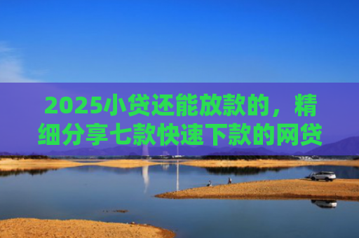 2025小贷还能放款的，精细分享七款快速下款的网贷小口子