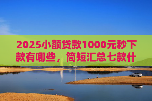 2025小额贷款1000元秒下款有哪些，简短汇总七款什么网贷秒下款新口子