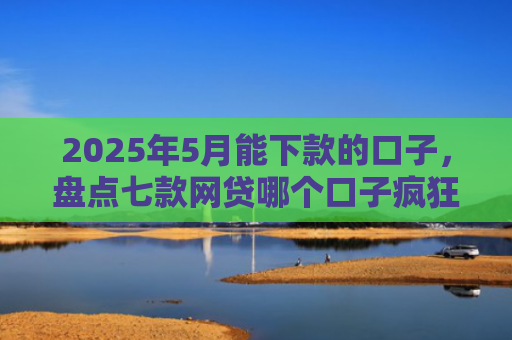 2025年5月能下款的口子，盘点七款网贷哪个口子疯狂下款