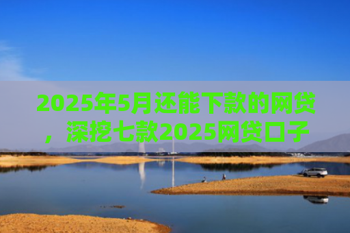 2025年5月还能下款的网贷，深挖七款2025网贷口子下款快