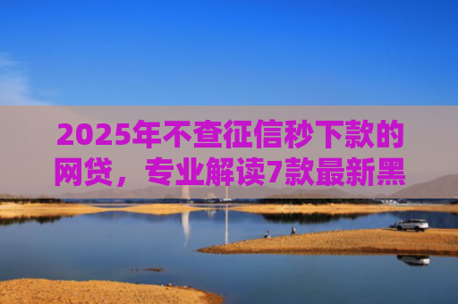 2025年不查征信秒下款的网贷，专业解读7款最新黑户网贷下款口子