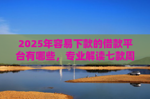 2025年容易下款的借款平台有哪些，专业解读七款周末下款的网贷口子