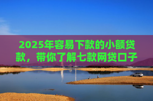 2025年容易下款的小额贷款，带你了解七款网贷口子那个好下款