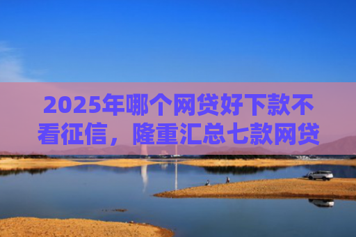 2025年哪个网贷好下款不看征信，隆重汇总七款网贷夜间下款的口子