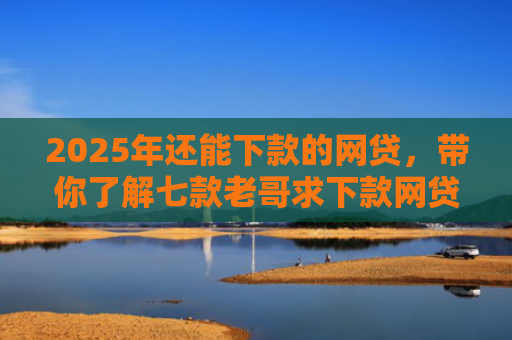 2025年还能下款的网贷，带你了解七款老哥求下款网贷口子