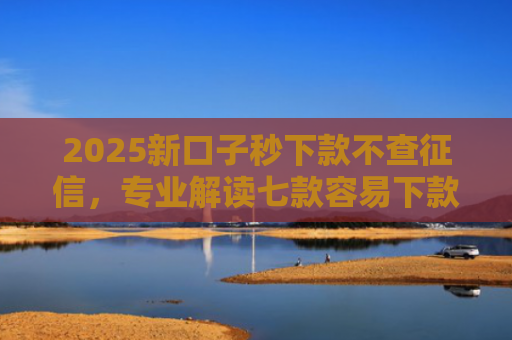 2025新口子秒下款不查征信，专业解读七款容易下款的大额网贷口子