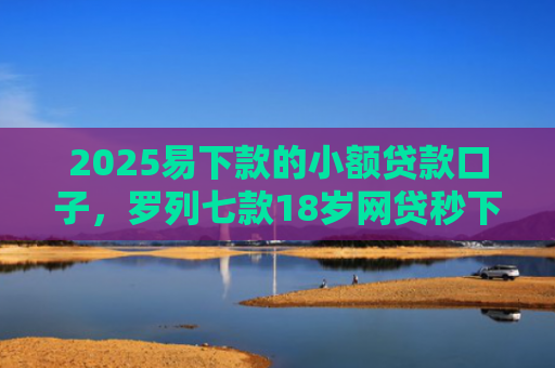 2025易下款的小额贷款口子，罗列七款18岁网贷秒下款口子