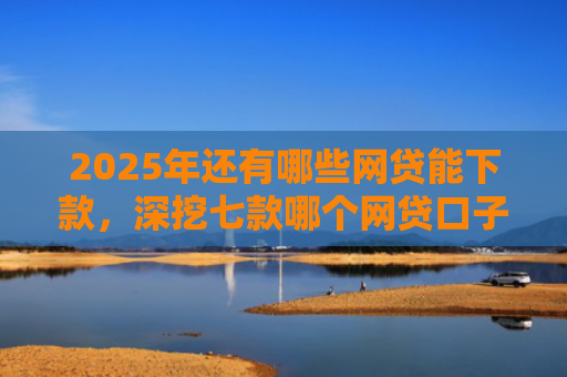2025年还有哪些网贷能下款，深挖七款哪个网贷口子下款最快