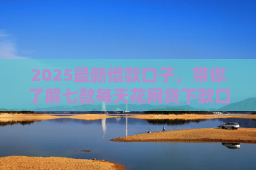 2025最新借款口子，带你了解七款每天花网贷下款口子
