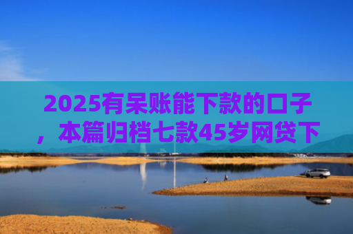 2025有呆账能下款的口子，本篇归档七款45岁网贷下款的口子