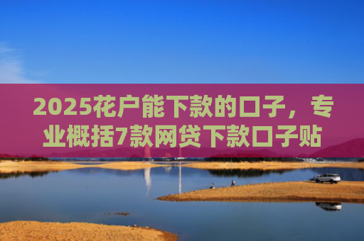 2025花户能下款的口子，专业概括7款网贷下款口子贴吧