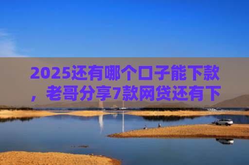 2025还有哪个口子能下款，老哥分享7款网贷还有下款口子吗