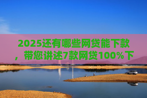 2025还有哪些网贷能下款，带您讲述7款网贷100%下款的口子