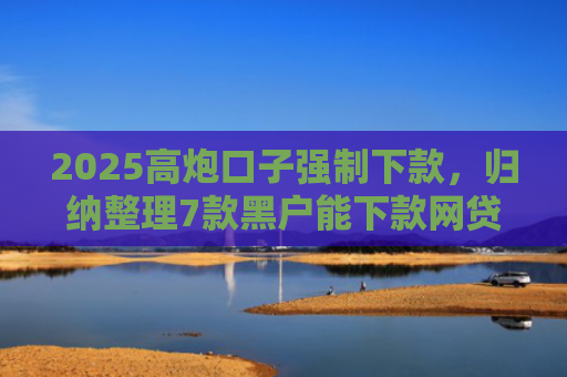 2025高炮口子强制下款，归纳整理7款黑户能下款网贷口子