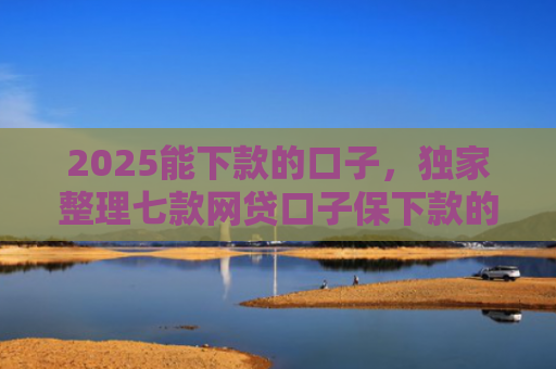2025能下款的口子，独家整理七款网贷口子保下款的