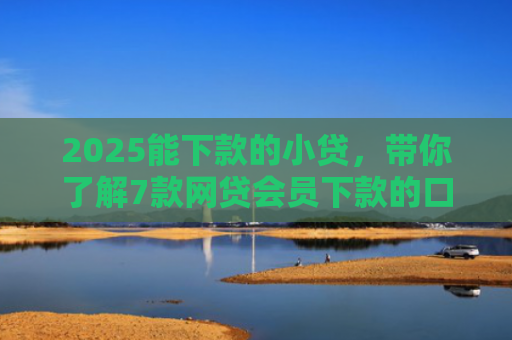 2025能下款的小贷，带你了解7款网贷会员下款的口子