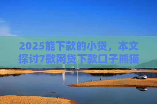 2025能下款的小贷，本文探讨7款网贷下款口子熊猫应急
