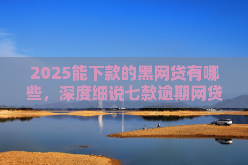 2025能下款的黑网贷有哪些，深度细说七款逾期网贷下款贷款口子
