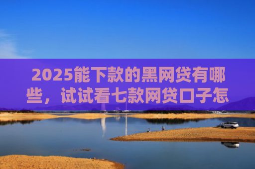 2025能下款的黑网贷有哪些，试试看七款网贷口子怎么好下款