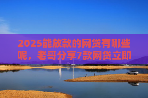 2025能放款的网贷有哪些呢，老哥分享7款网贷立即下款的口子