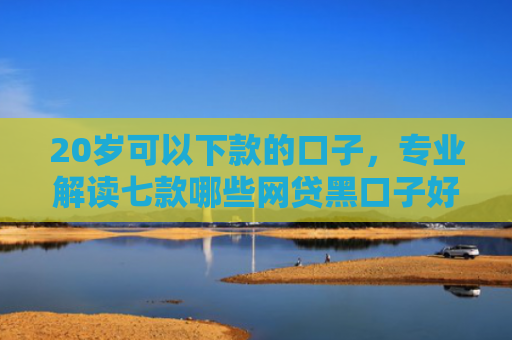 20岁可以下款的口子，专业解读七款哪些网贷黑口子好下款