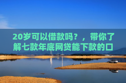 20岁可以借款吗？，带你了解七款年底网贷能下款的口子