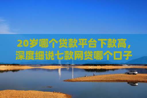 20岁哪个贷款平台下款高，深度细说七款网贷哪个口子下款率高