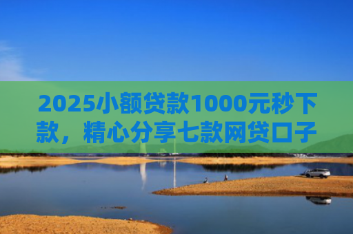 2025小额贷款1000元秒下款，精心分享七款网贷口子怎么填下款高