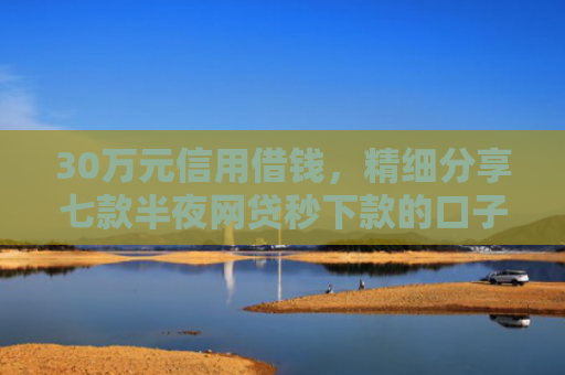 30万元信用借钱，精细分享七款半夜网贷秒下款的口子