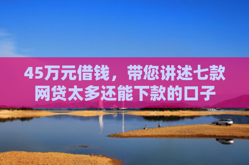 45万元借钱，带您讲述七款网贷太多还能下款的口子