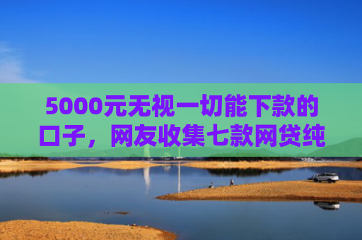5000元无视一切能下款的口子，网友收集七款网贷纯白户下款的口子