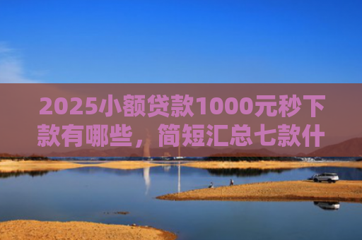 2025小额贷款1000元秒下款有哪些，简短汇总七款什么网贷秒下款新口子