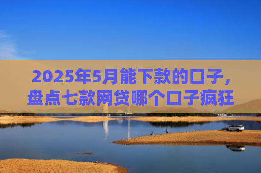 2025年5月能下款的口子，盘点七款网贷哪个口子疯狂下款