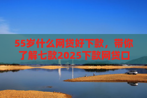55岁什么网贷好下款，带你了解七款2025下款网贷口子