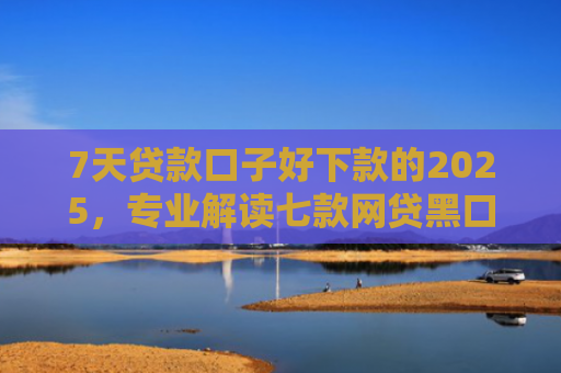 7天贷款口子好下款的2025，专业解读七款网贷黑口子哪个下款快