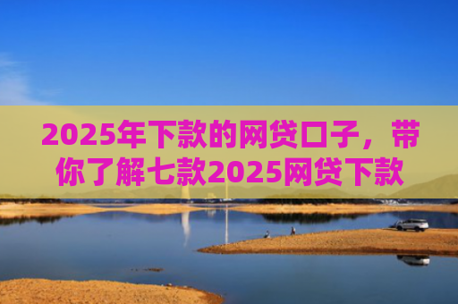 2025年下款的网贷口子，带你了解七款2025网贷下款的口子
