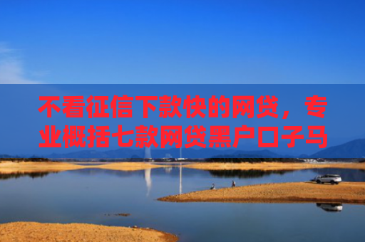 不看征信下款快的网贷，专业概括七款网贷黑户口子马上下款的
