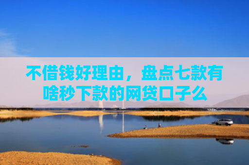 不借钱好理由，盘点七款有啥秒下款的网贷口子么