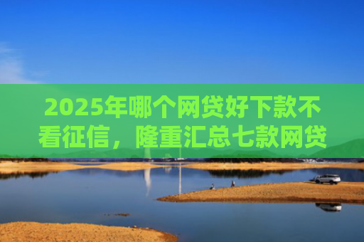 2025年哪个网贷好下款不看征信，隆重汇总七款网贷夜间下款的口子