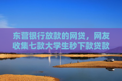 东营银行放款的网贷，网友收集七款大学生秒下款贷款口子6