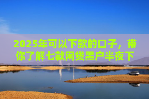 2025年可以下款的口子，带你了解七款网贷黑户半夜下款口子
