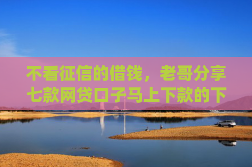 不看征信的借钱，老哥分享七款网贷口子马上下款的下载app