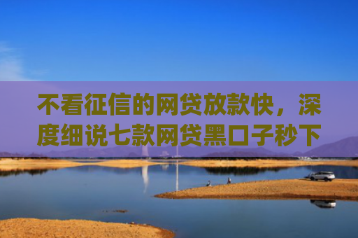 不看征信的网贷放款快，深度细说七款网贷黑口子秒下款app2025