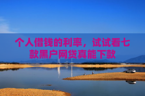 个人借钱的利率，试试看七款黑户网贷真能下款
