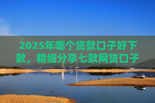 2025年哪个贷款口子好下款，精细分享七款网贷口子直接下款