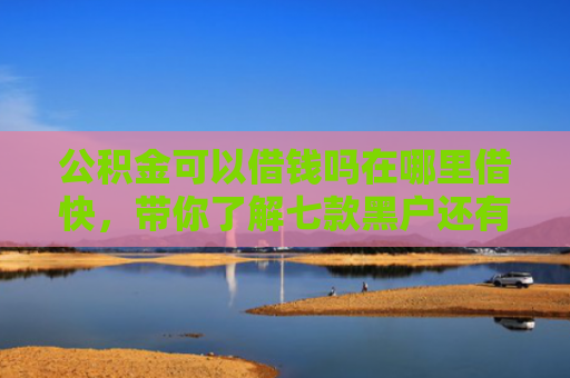 公积金可以借钱吗在哪里借快，带你了解七款黑户还有什么网贷下款