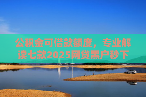 公积金可借款额度，专业解读七款2025网贷黑户秒下款