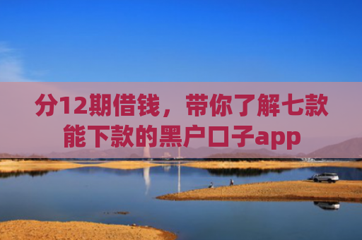 分12期借钱，带你了解七款能下款的黑户口子app