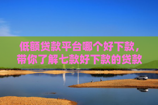 低额贷款平台哪个好下款，带你了解七款好下款的贷款口子有哪些