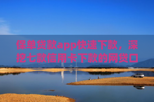 保单贷款app快速下款，深挖七款信用卡下款的网贷口子